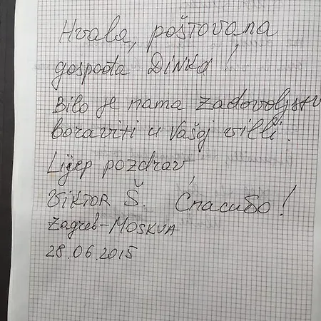 Apartment Dinka Vip